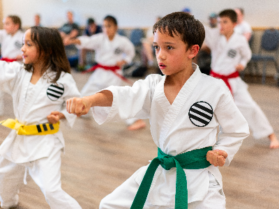 Karate Novice-Intermediate Orange-Green Belt (9/14-12/14)